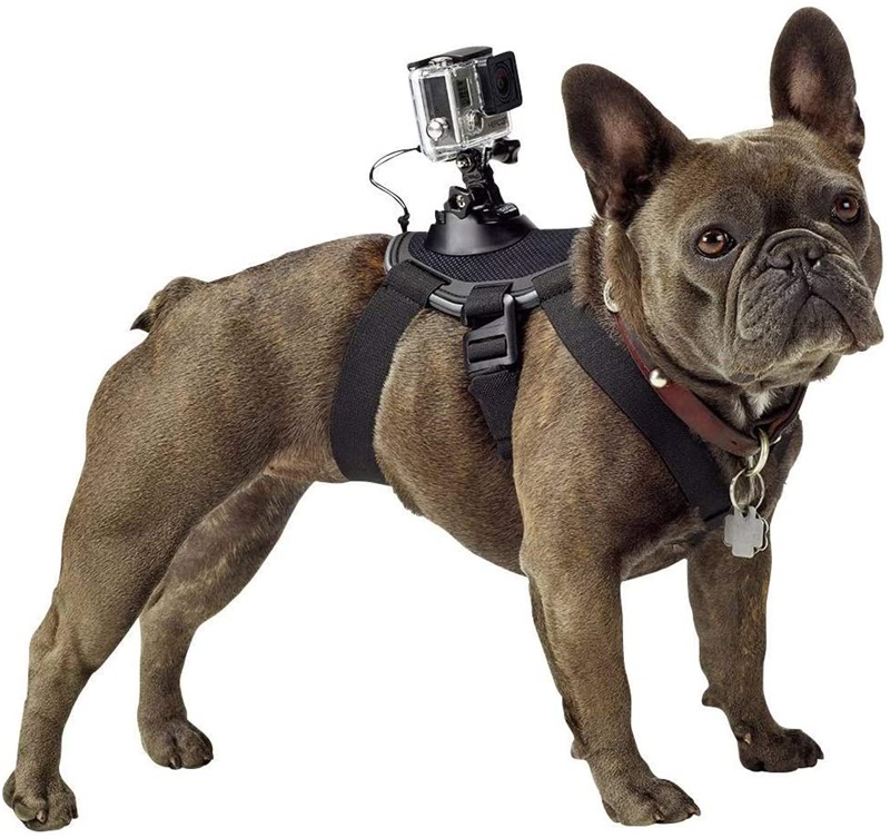 Gopro Fetch Dog 하네스